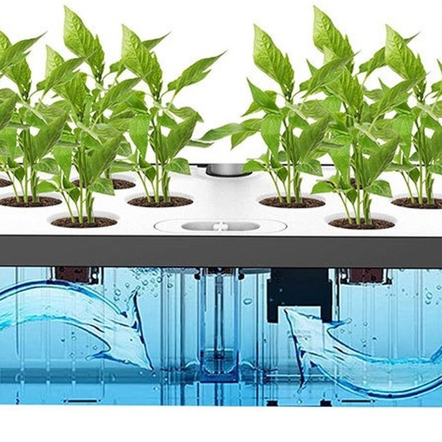 GreenTech Topraksız Yetiştirme Seti — 12 Yuvalı Hidroponik İç Mekan Bahçesi