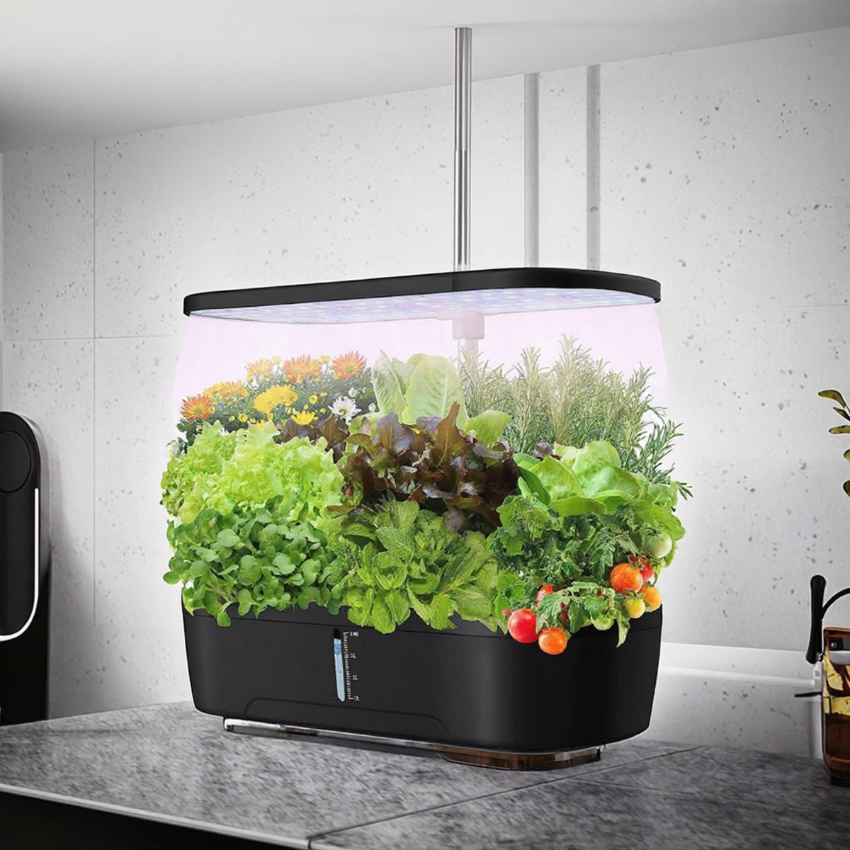 GreenTech Topraksız Yetiştirme Seti — 12 Yuvalı Hidroponik İç Mekan Bahçesi